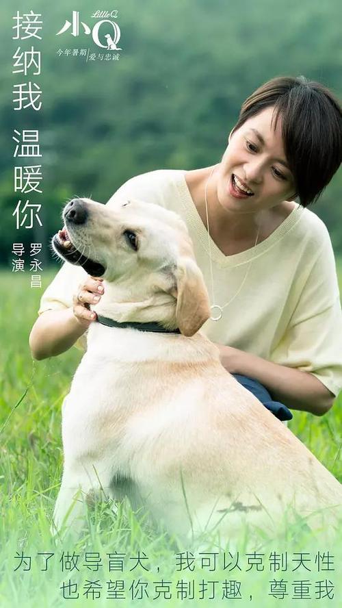 怎么做假统一学院成绩单